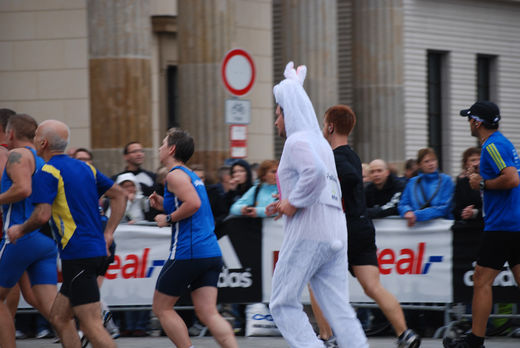 Der Marathon-Hase